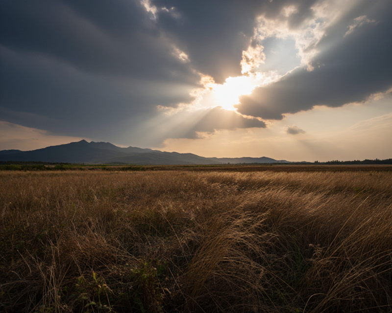 Symbolic Peace and Tension Landscape